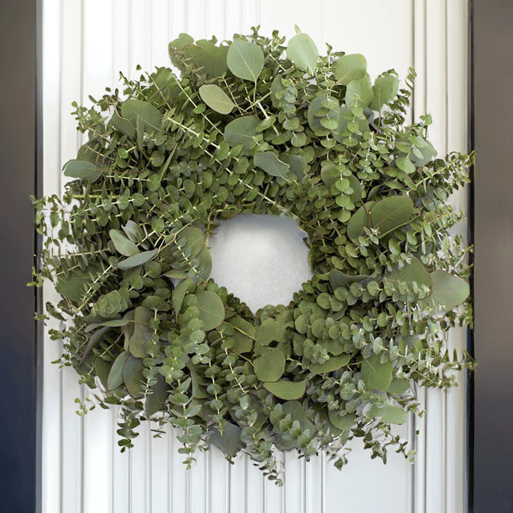 XMAS-1310 All seasons fresh green silver dollar and baby blue eucalyptus wreath